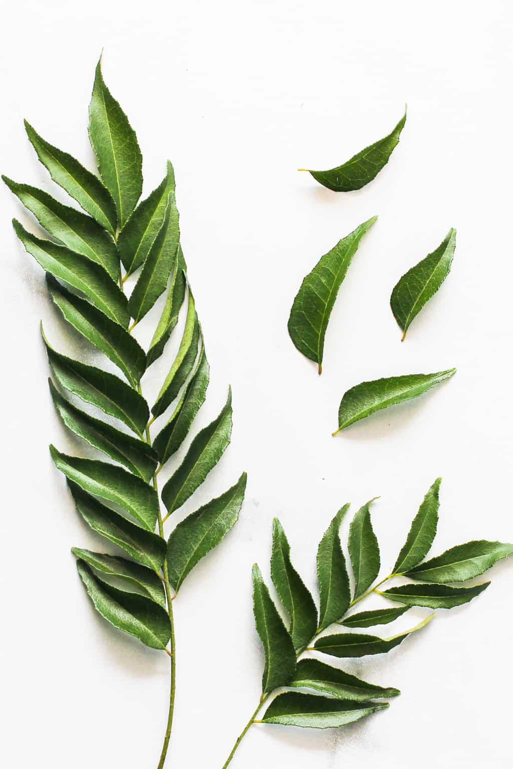 Curry Leaves 1.49/Each