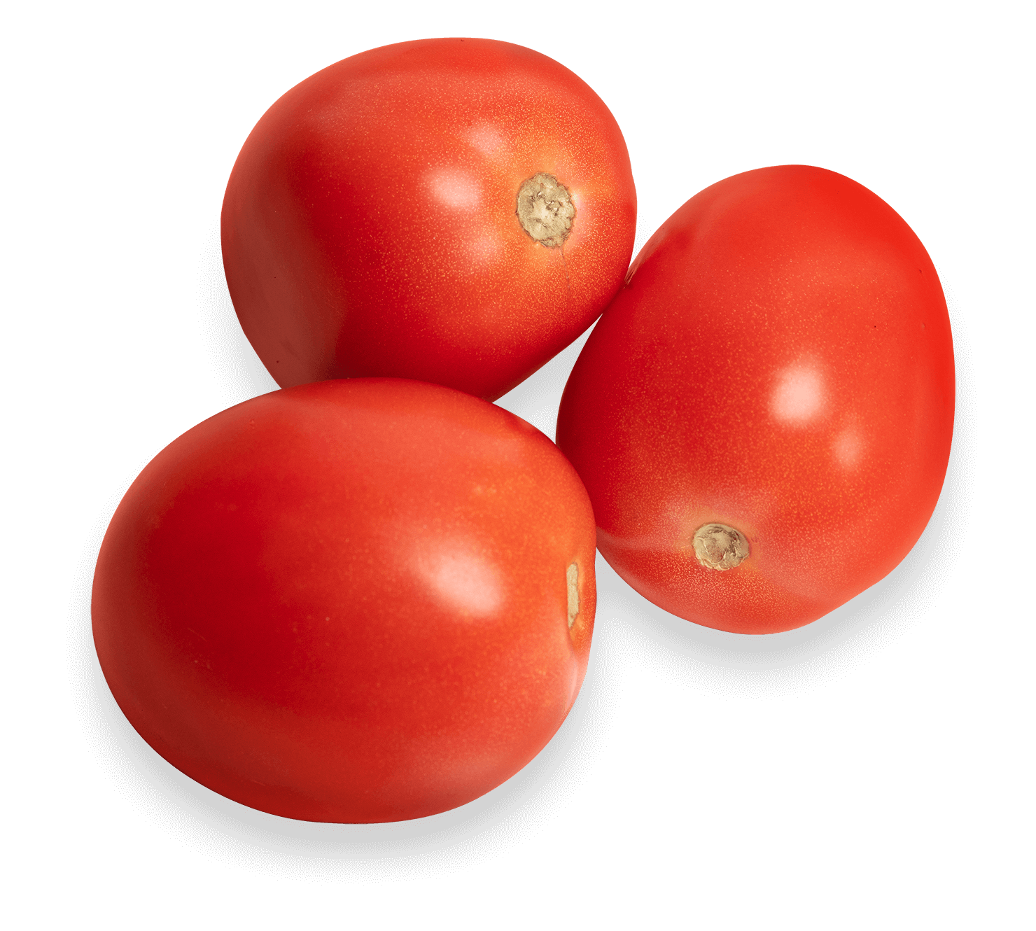 Tomato Roma 2.99 /lb